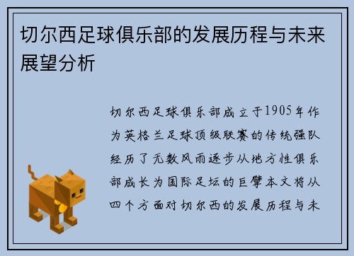 切尔西足球俱乐部的发展历程与未来展望分析