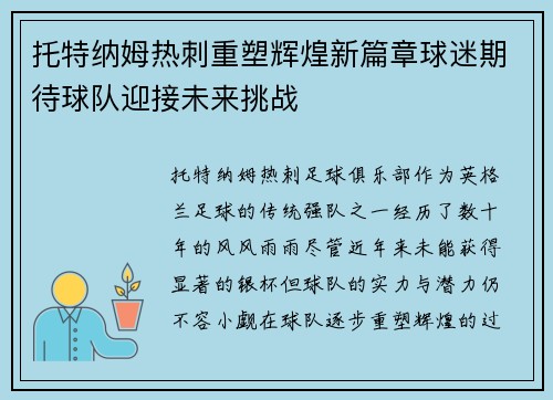 托特纳姆热刺重塑辉煌新篇章球迷期待球队迎接未来挑战