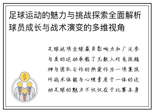 足球运动的魅力与挑战探索全面解析球员成长与战术演变的多维视角