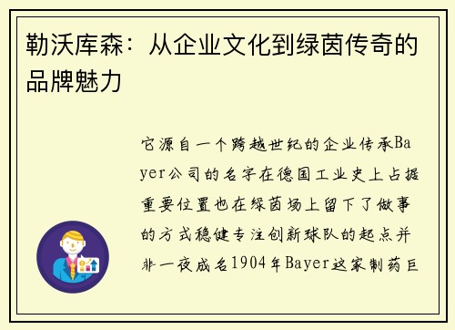 勒沃库森：从企业文化到绿茵传奇的品牌魅力