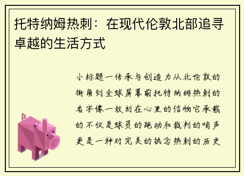 托特纳姆热刺：在现代伦敦北部追寻卓越的生活方式